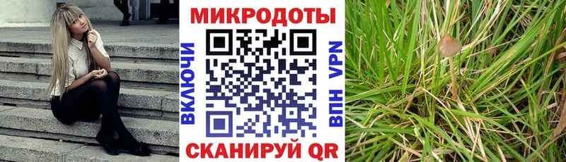 Псилоцибиновые грибы Magic Shrooms  Людиново 